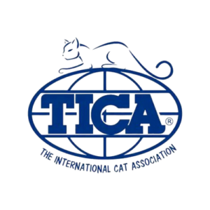 Home - Maine Coon Kittens